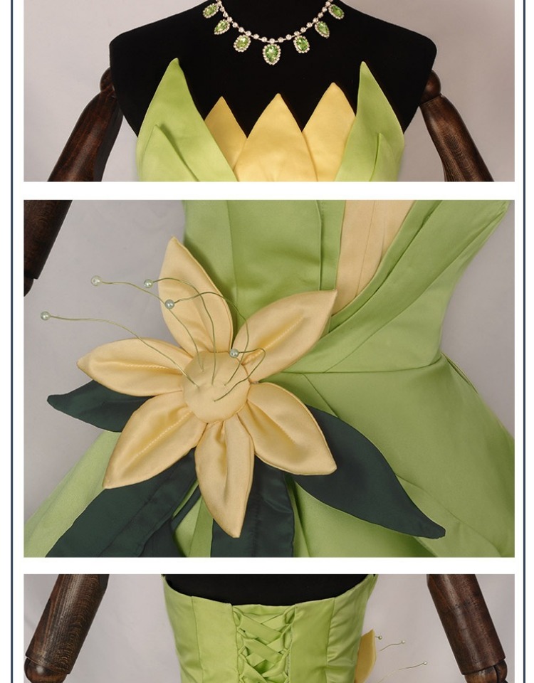 Princess Tiana Dress Cosplay C - Men'S Accessories For Christmas recension och pris