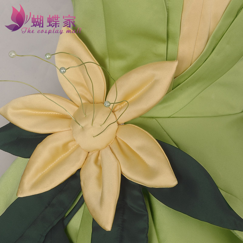 Princess Tiana Dress Cosplay C - Men'S Accessories For Christmas recension och pris