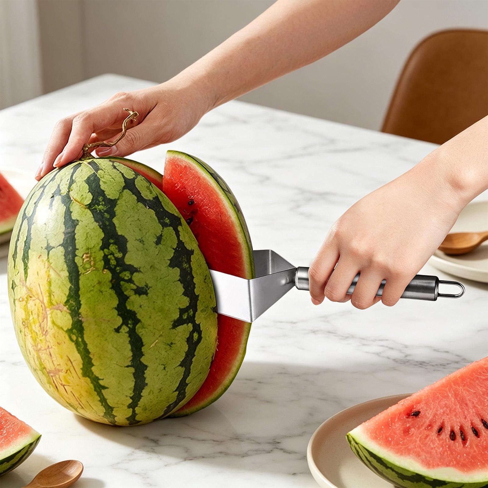 stainless steel Watermelon sli - Men Accessories Shop recension och pris